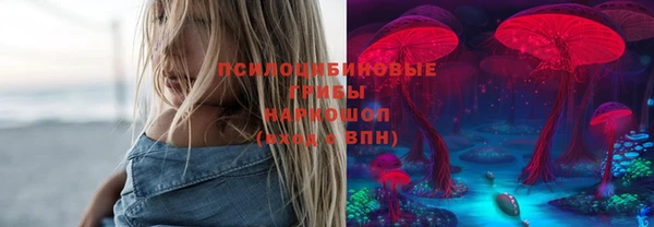 крисы Абинск