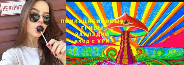 а пвп мука Абаза