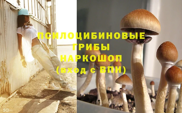 ECSTASY Алзамай