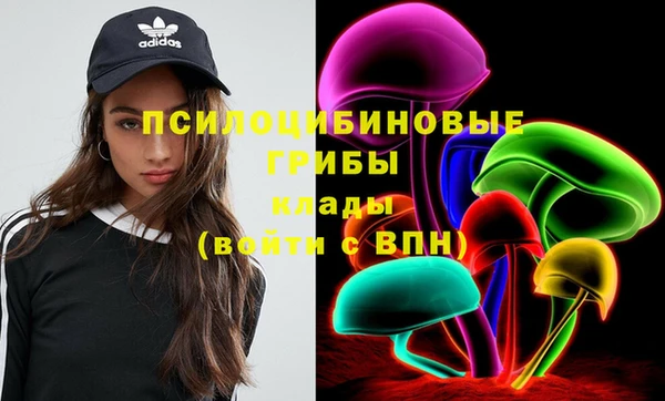 ECSTASY Алзамай