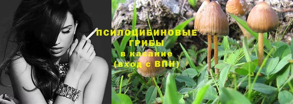 ECSTASY Алзамай